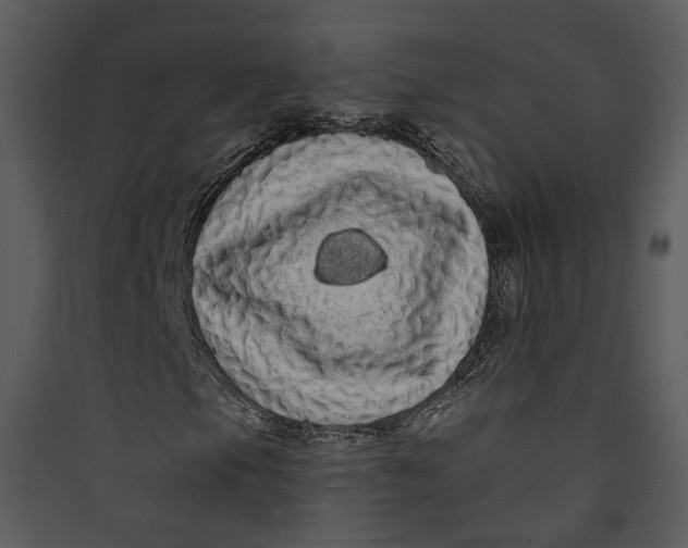 X0000089761105200707121357