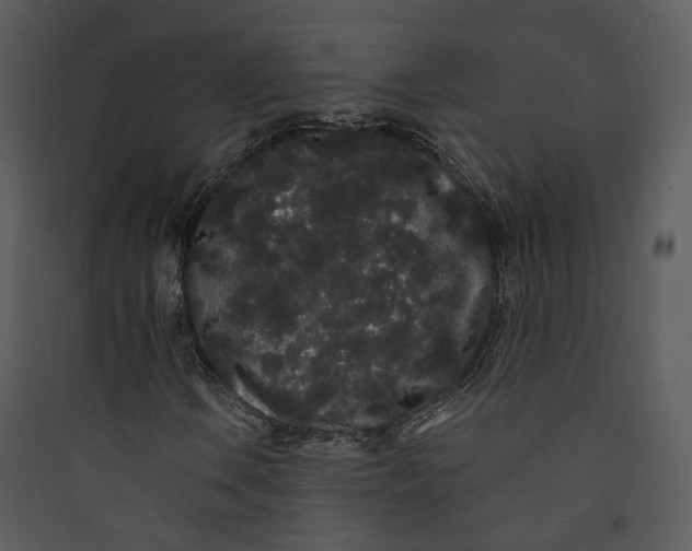 X0000089761106200707121357