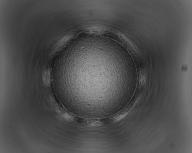 X0000089761108200707121357