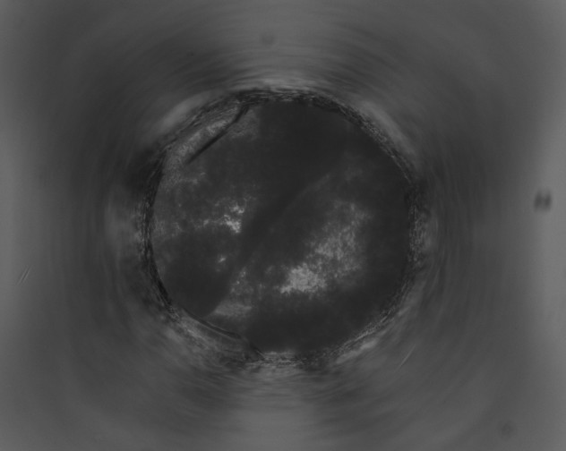 X0000089761110200707121357