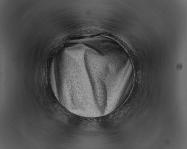 X0000089761111200707121357