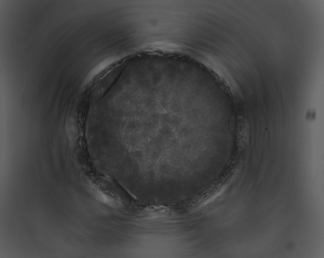 X0000089761112200707121357