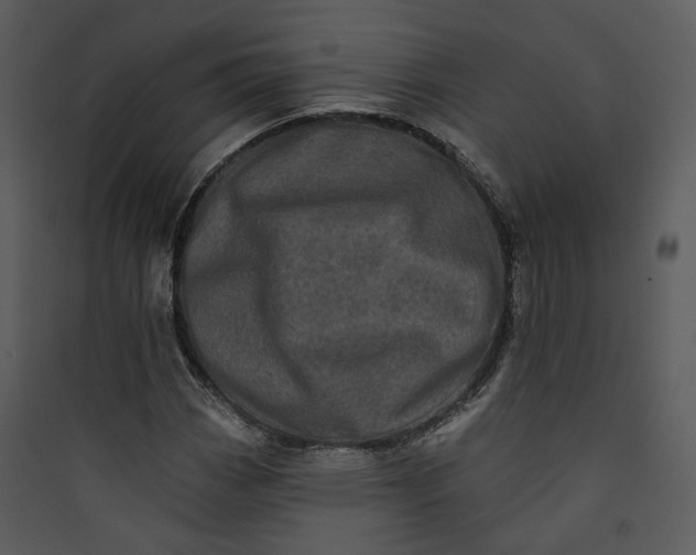 X0000089761113200707121357