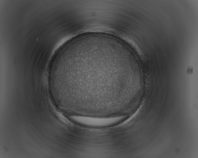 X0000089761114200707121357