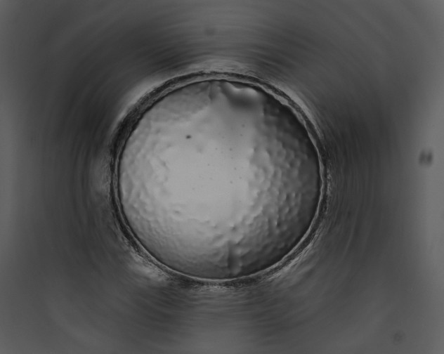 X0000089761115200707121357