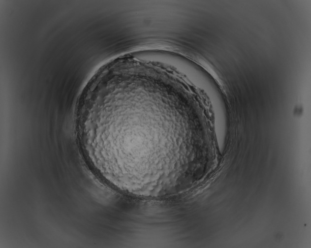 X0000089761116200707121357