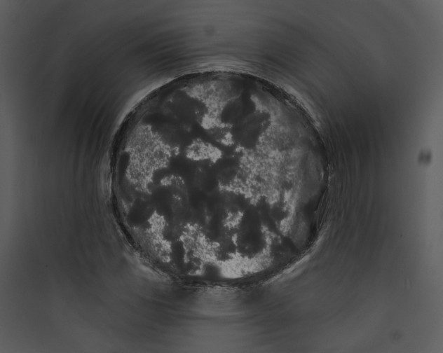 X0000089761117200707121357