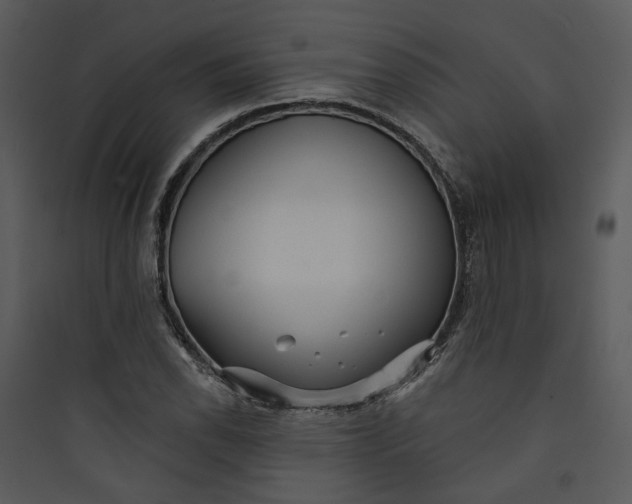 X0000089761118200707121357