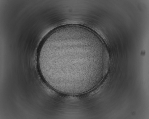 X0000089761119200707121357