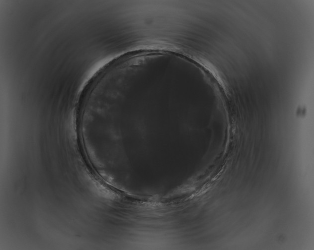 X0000089761120200707121357