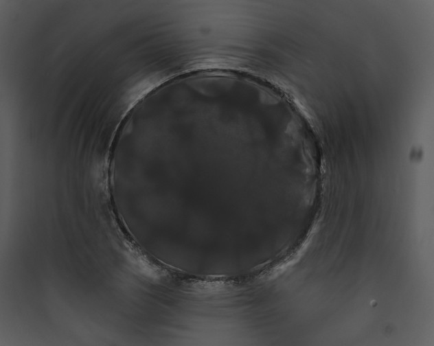 X0000089761121200707121357