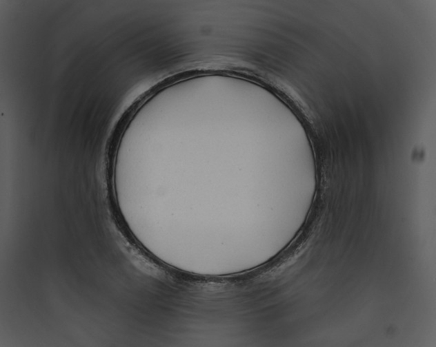 X0000089761122200707121357