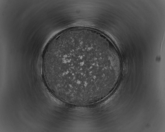 X0000089761123200707121357