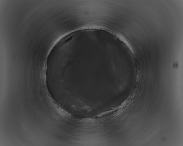 X0000089761124200707121357