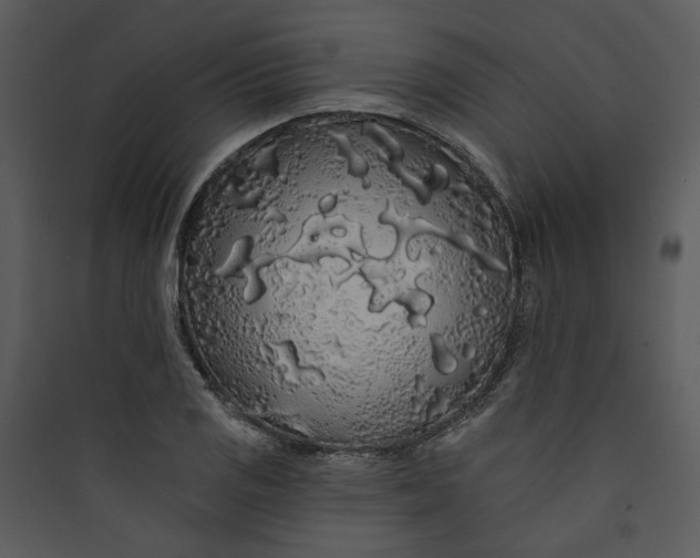 X0000089761125200707121357