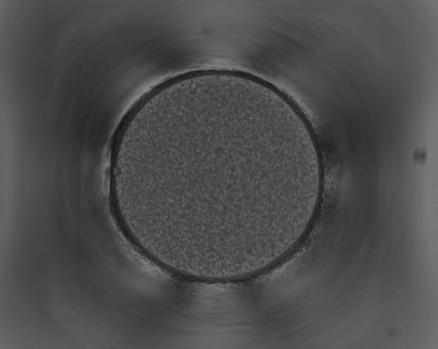 X0000089761126200707121357