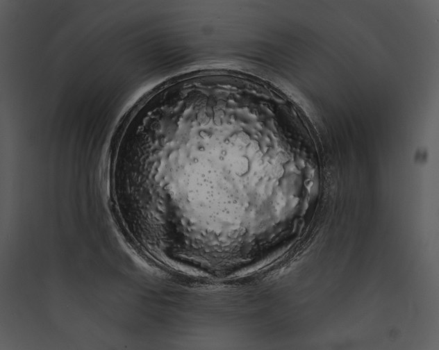 X0000089761127200707121357