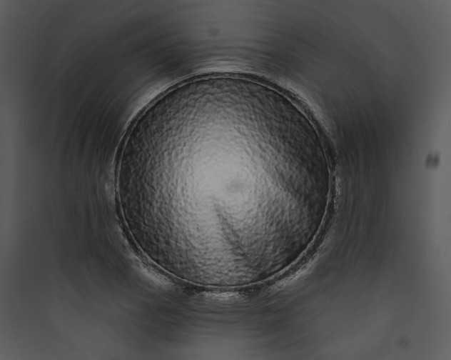 X0000089761129200707121357