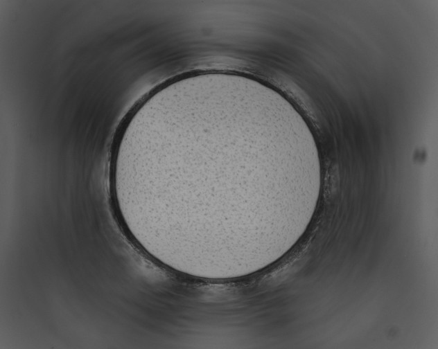 X0000089761130200707121357