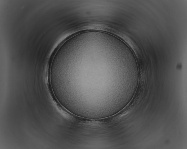 X0000089761131200707121357