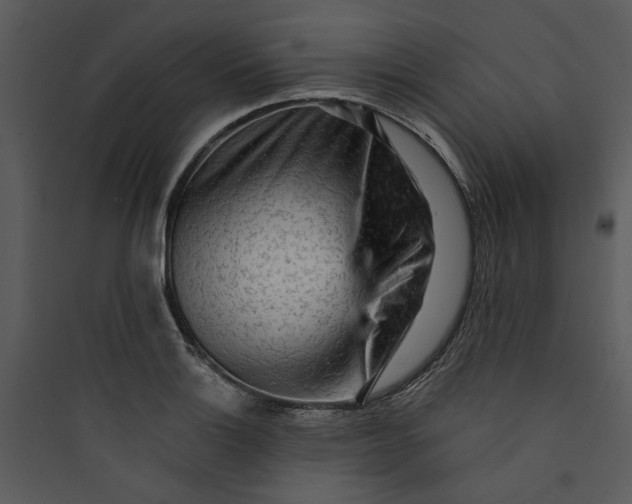 X0000089761132200707121357