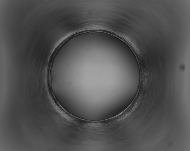 X0000089761134200707121357