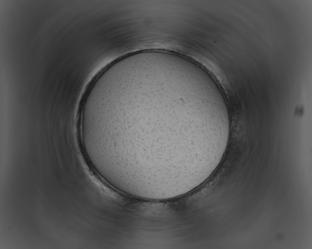 X0000089761135200707121358