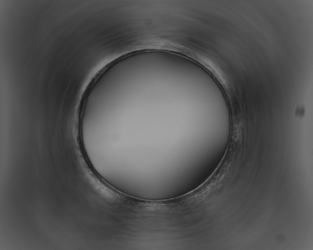 X0000089761136200707121358