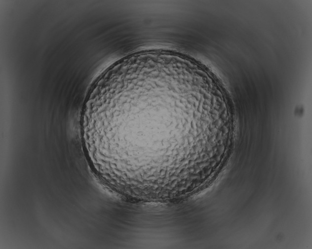 X0000089761137200707121358