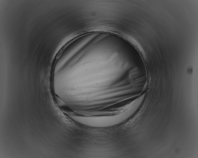 X0000089761138200707121358