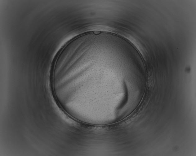 X0000089761139200707121358