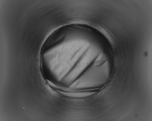 X0000089761140200707121358