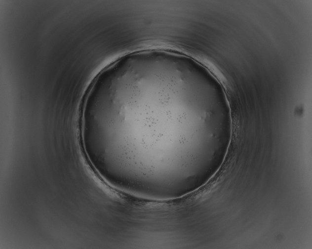 X0000089761142200707121358