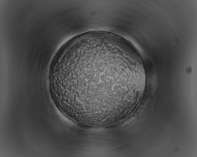 X0000089761143200707121358