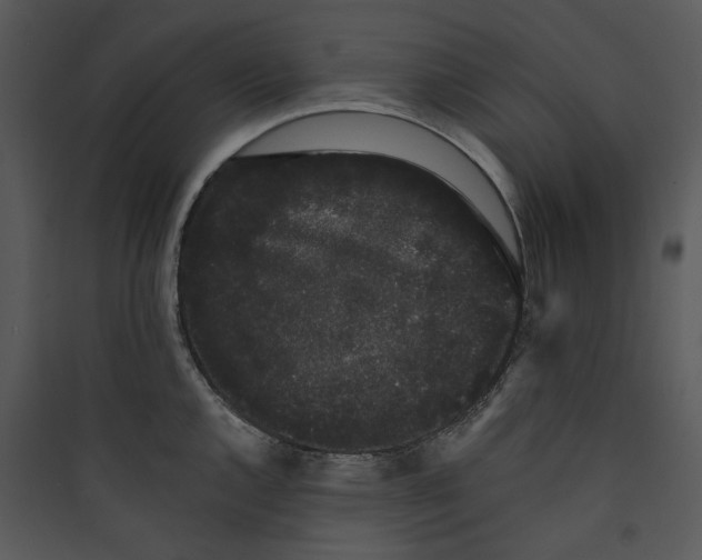 X0000089761144200707121358