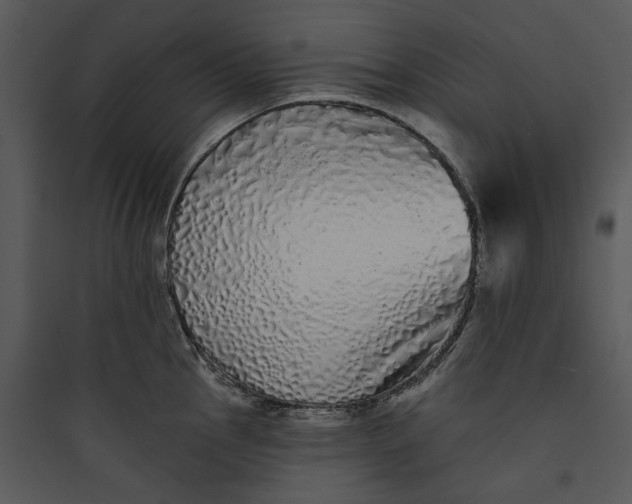 X0000089761145200707121358