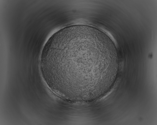 X0000089761146200707121358