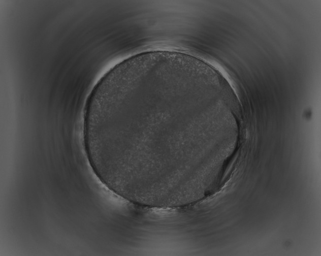 X0000089761147200707121358