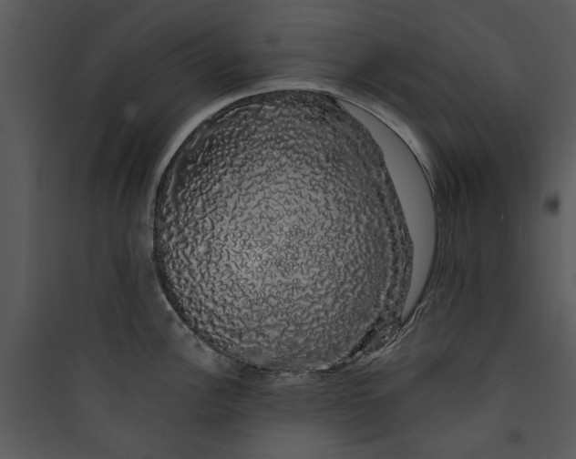 X0000089761148200707121358