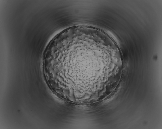 X0000089761149200707121358