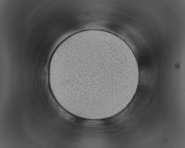 X0000089761150200707121358