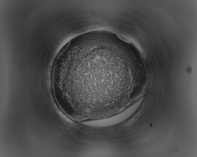 X0000089761151200707121358