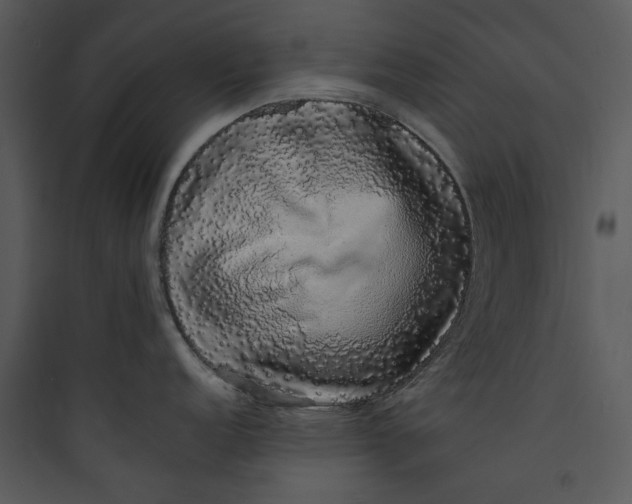 X0000089761152200707121358