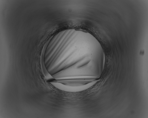 X0000089761153200707121357