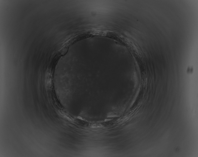 X0000089761154200707121357