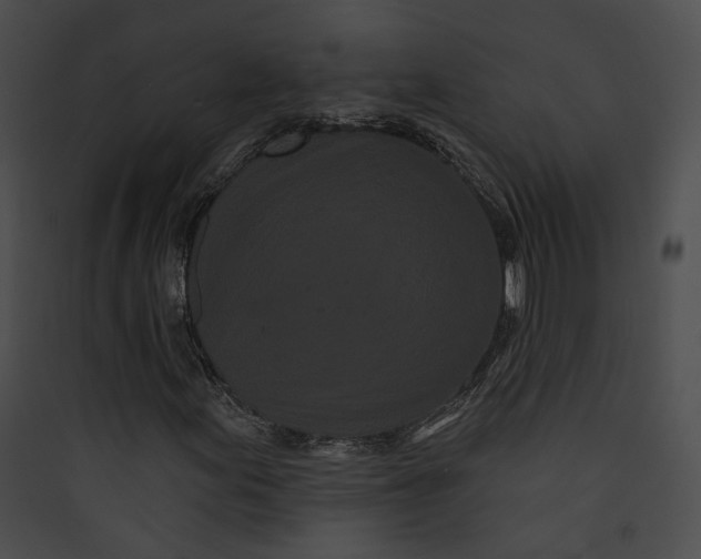 X0000089761155200707121357