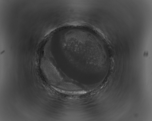 X0000089761158200707121357