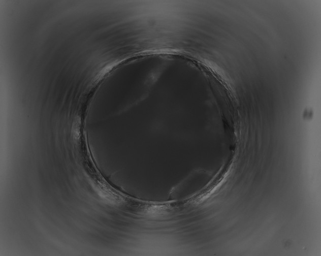 X0000089761161200707121357