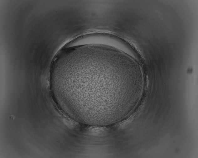 X0000089761165200707121357