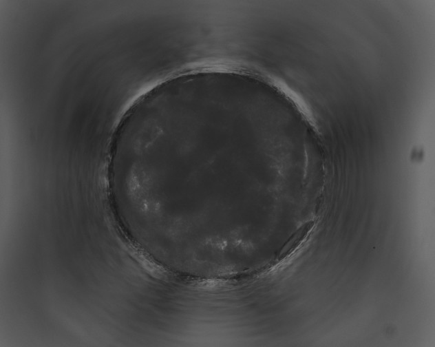 X0000089761166200707121357